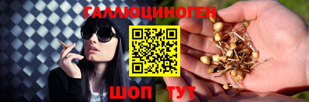 Звенигород  Псилоцибиновые грибы Magic Shrooms  наркота  Вход с VPN 